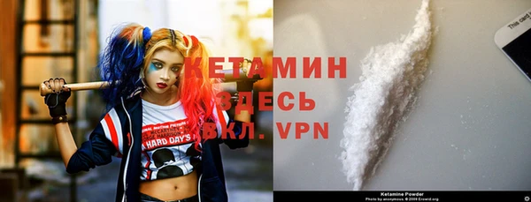 сатива Волоколамск