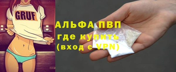 сатива Волоколамск