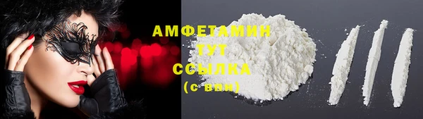 сатива Волоколамск
