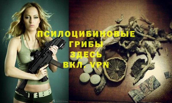 прущий лед Верея