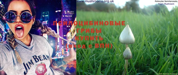 PSILOCYBIN Верхний Тагил