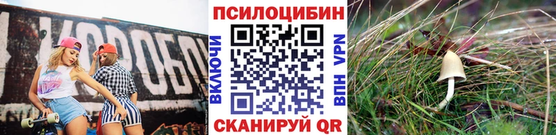 Купить закладки  Озёры  Псилоцибиновые грибы мухоморы 